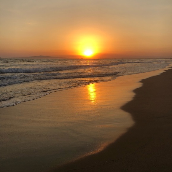 Meet your Posher, Emma - Picture 1 of 2